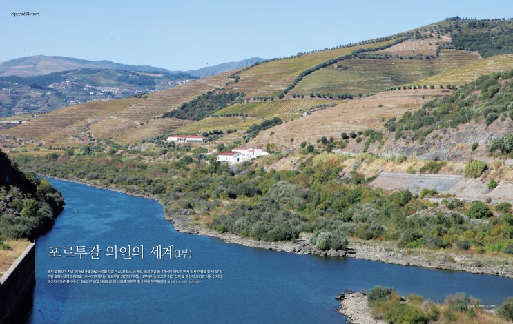 [Special Report] 포르투갈 와인의 세계