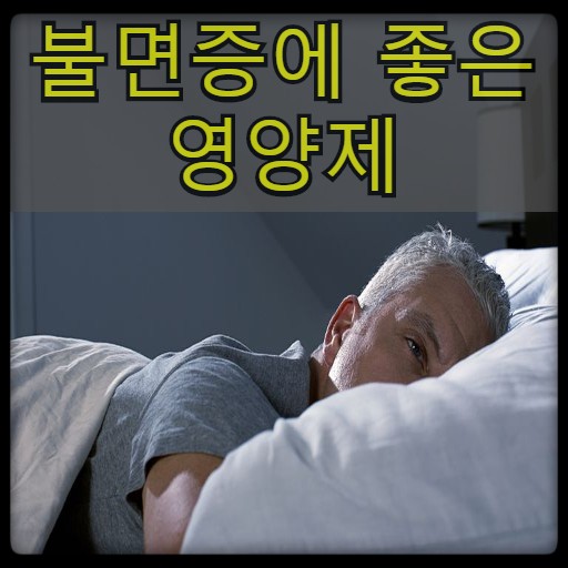  불면증 영양제