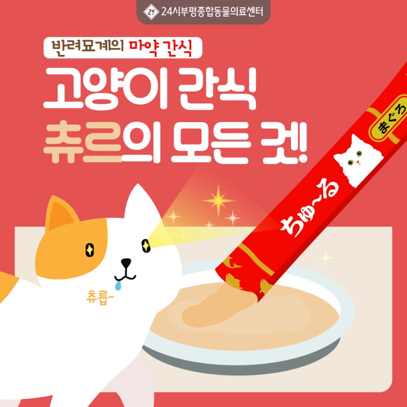 고양이 간식 츄르의 모든 것! : 네이버 블로그 고양이 간식 츄르의 모든 것! : 네이버 블로그