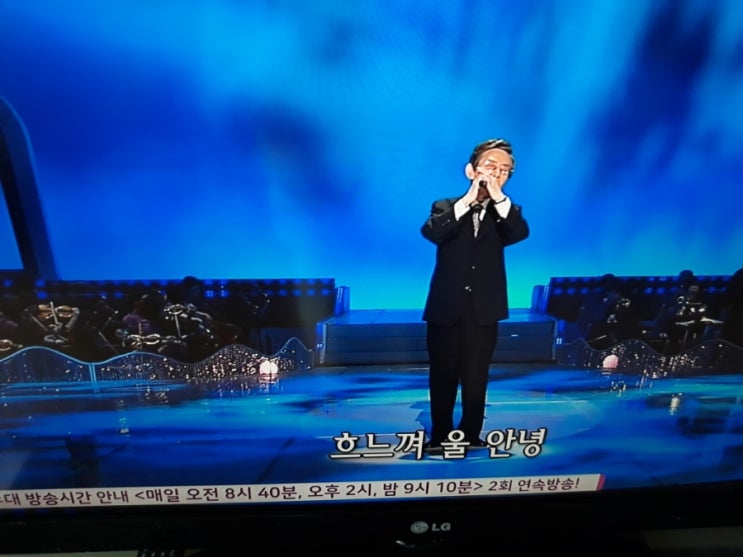 안다성 님