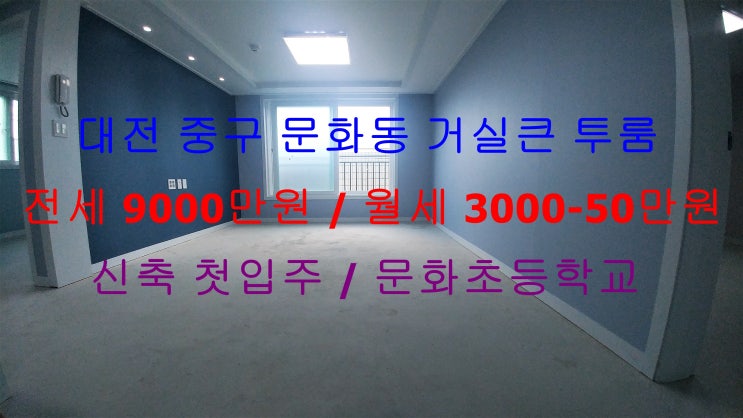  (대전 중구 문화동) 문화초등학교 바로 앞에 있는 신축 첫입주 ! 저렴한 거실큰 투룸입니다 ^^