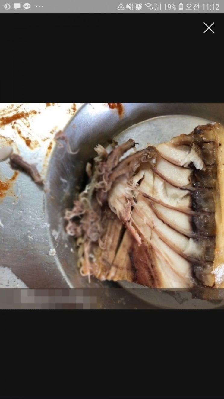  학교급식과 고래회충