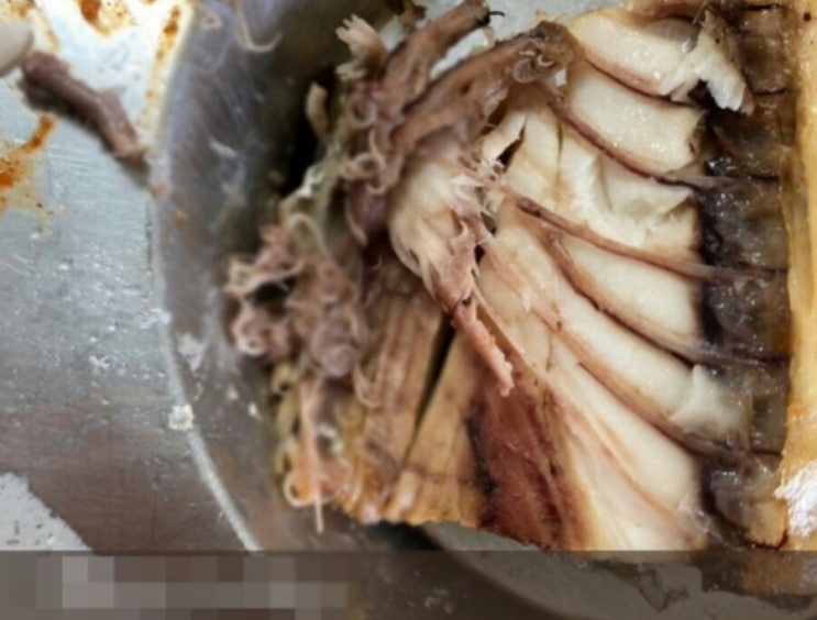  대연동지게차 고래회충 나온 급식