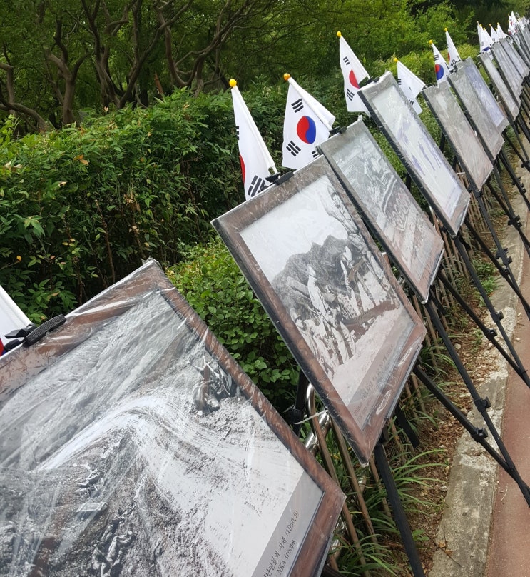  6.25전쟁...