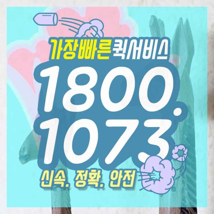  압구정퀵서비스 금호꽃배달 여기서 해결해요.