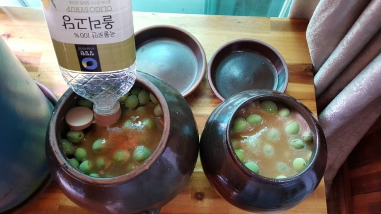  6월은  매실청 담기 최적기래요