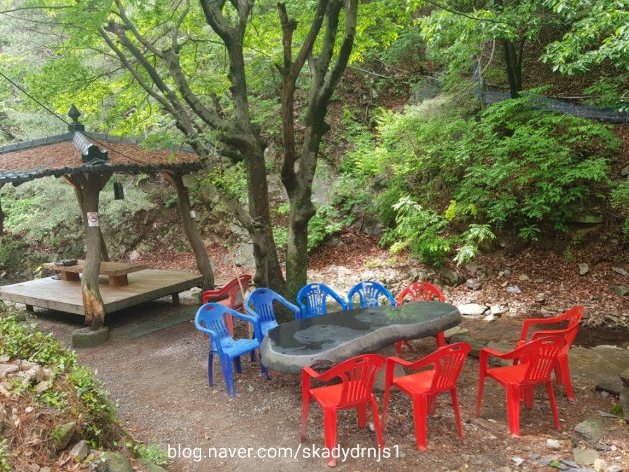 자연사랑가든 사진 3