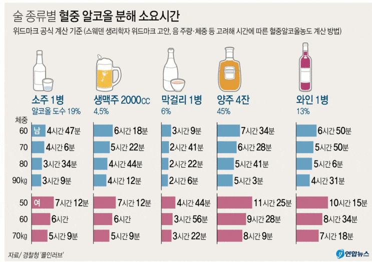  술 종류별 혈중 알코올 분해 소요시간