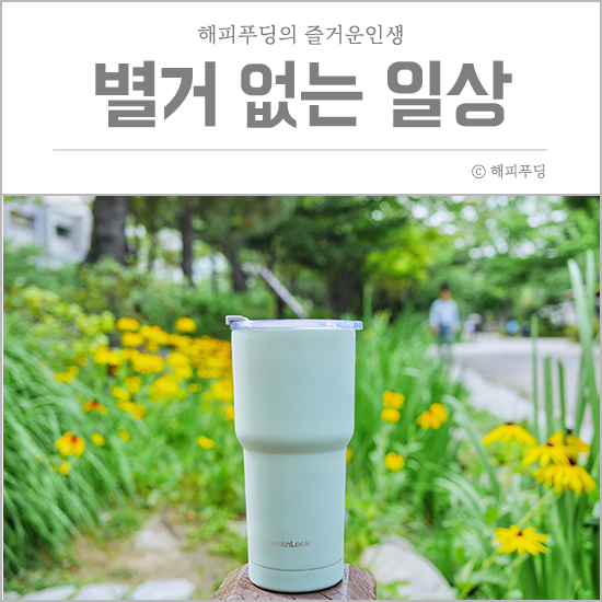  벌써 6월의 마지막 주라니!! (+노견일기)