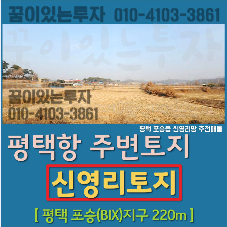 평택항 주변 토지 신영리땅 투자 (평택 포승(BIX)지구, 서부내륙고속도로 주변 평택토지)