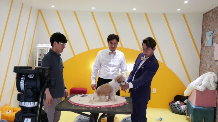  최덕황애견미용학원 원장님 <JTBC 그랜드 부다개스트> 초대되다.