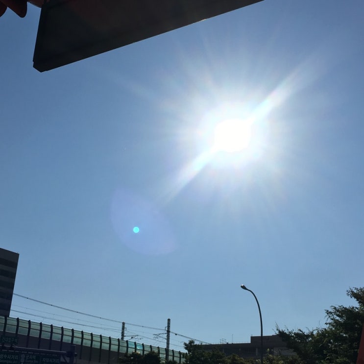  2박3일 오키나와 여행 1일차: 플레이와이파이 / 쿠루쿠루 렌트카 / 쿠라스시