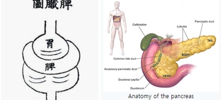  런지쉐 선생의 한의학적 당뇨병 치료 특색