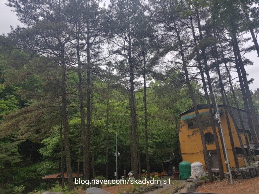 자연사랑가든 사진 1
