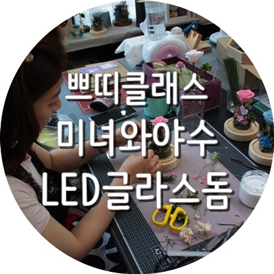  [송도꽃집 송도프리저브드플라워 Always Blooming 얼웨이즈블루밍] 쁘띠클래스 - 미녀와야수 LED 글라스돔