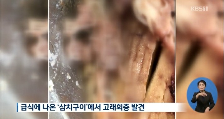 [NEWS] &lt;교육&gt; 인천 고교 급식 고래회충 발견... 교육청, 특별위생점검 실시