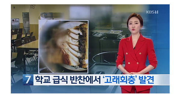  학교급식 반찬에 '고래회충' 발견..'경악'