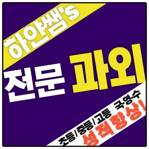  시흥 대야동유아한글과외 은행동유아영어과외 독서 바른글씨 파닉스 조기교육 안시맘 6세 7세 예비초등부
