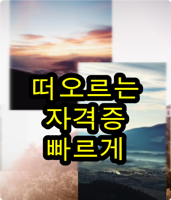  주부자격증추천 처음부터 확실하게