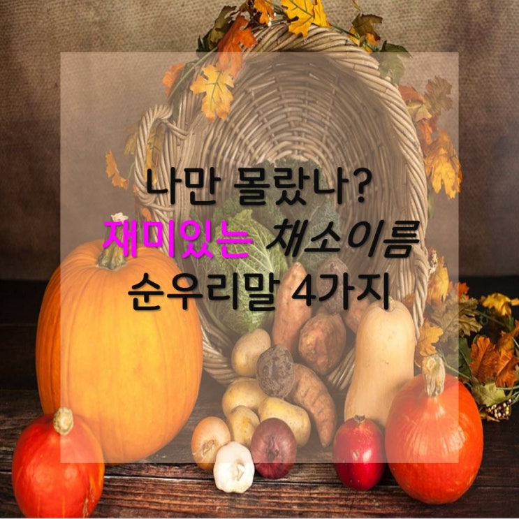  나만 몰랐나? 재미있는 채소 이름 순우리말