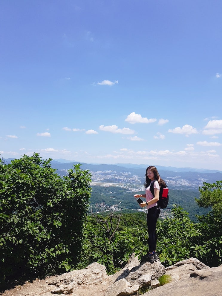  [등산일기] 청계산 매봉 :: 6월 초보등산 추천