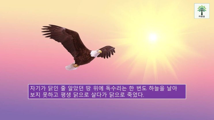  [인문학강의] 독수리는 독수리이고, 닭은 닭이다(인문학이란,권영민소장)