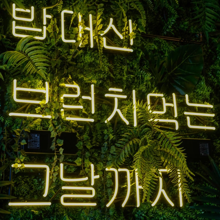  파주 운정 브런치 밥 대신 매일 먹고싶게 여심저격 성공! @브런치빈