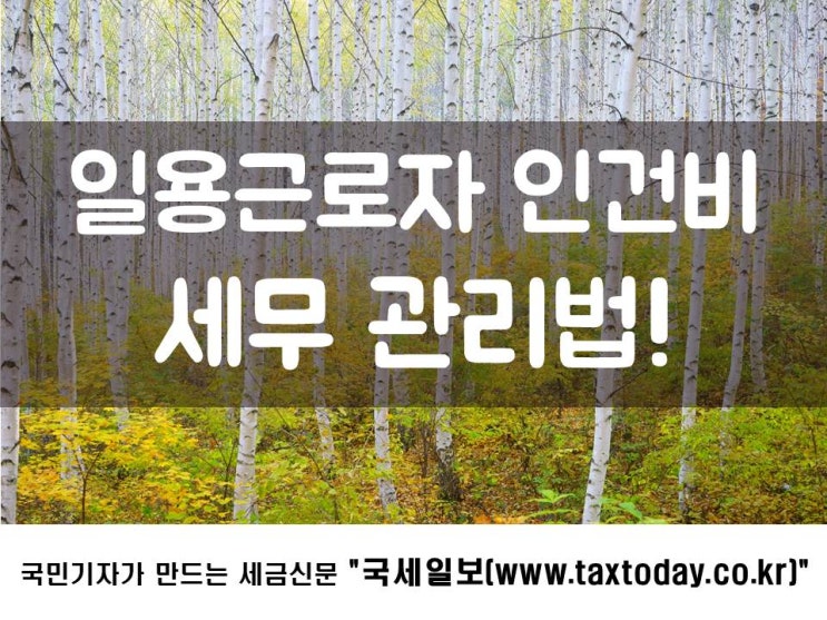 일용근로자 인건비 세무 관리법!