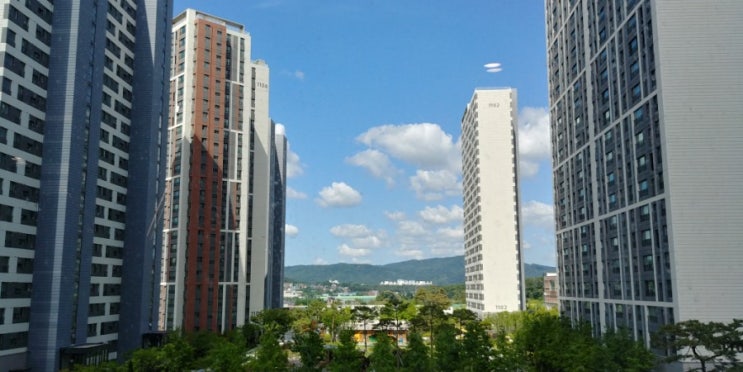  2019.06 소소한 일상