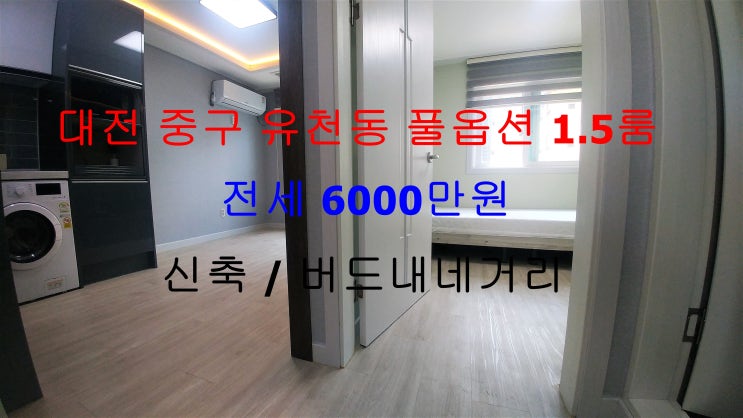  (대전 중구 유천동) 버드내네거리에 있는 신축 저렴한 풀옵션 전세 1.5룸입니다 ~!