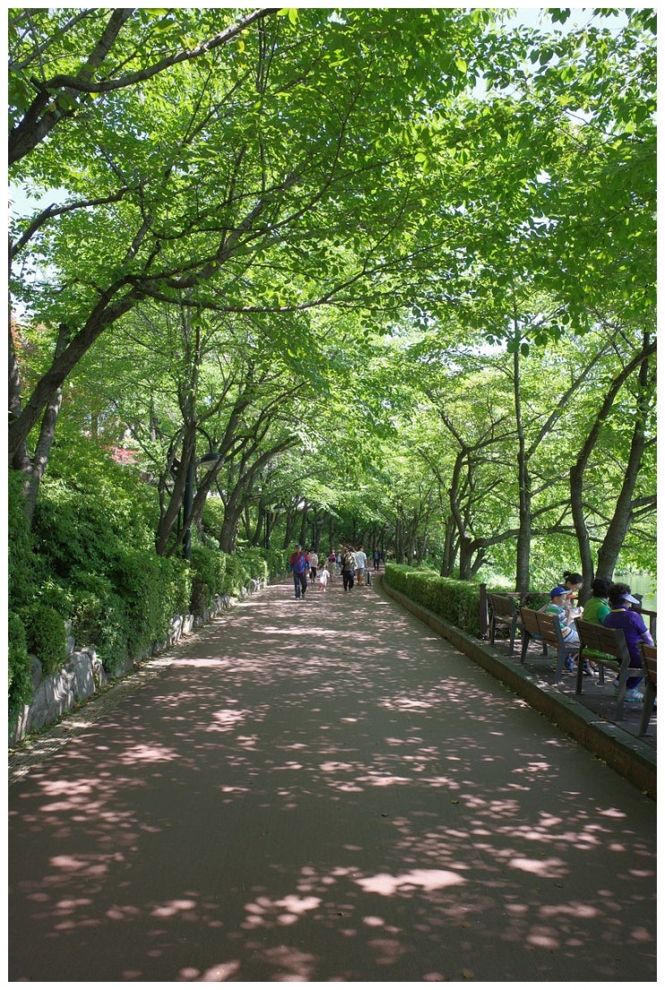  개인적인 후보정을 하는 이유와 스냅시드 사용 예시