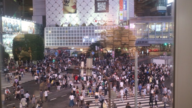  [일본 / 도쿄 2박3일 여행] 2일차 : 오모테산도거리, 블루보틀, 마이센, 도쿄돔시티, 롯본기힐즈전망대, 시부야, 스크램블교차로