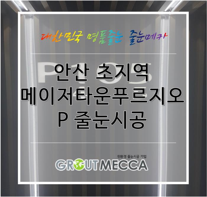 안산 초지역 메이저타운 푸르지오 파크 P줄눈메카시공