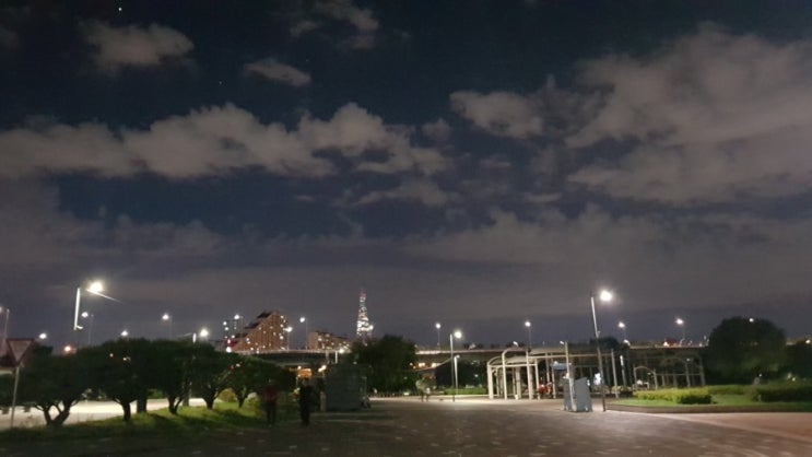 강동마라톤: 나이트 레이스