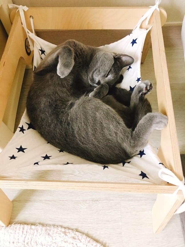  장마시작? 비가 올때는 잠이 최고!!!
