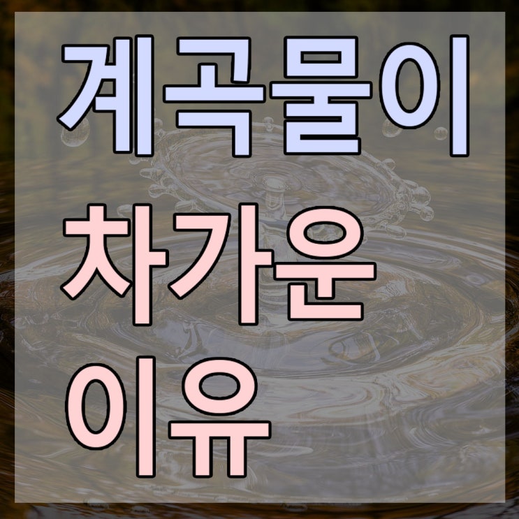  계곡물이 차가운 이유? 계곡물이 마르지 않는 이유는 뭘까?