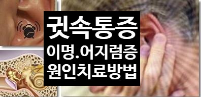 귀안쪽통증 귀통증 원인 및 치료방법 : 네이버 블로그 귀안쪽통증 귀통증 원인 및 치료방법 : 네이버 블로그