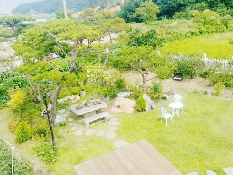  정원