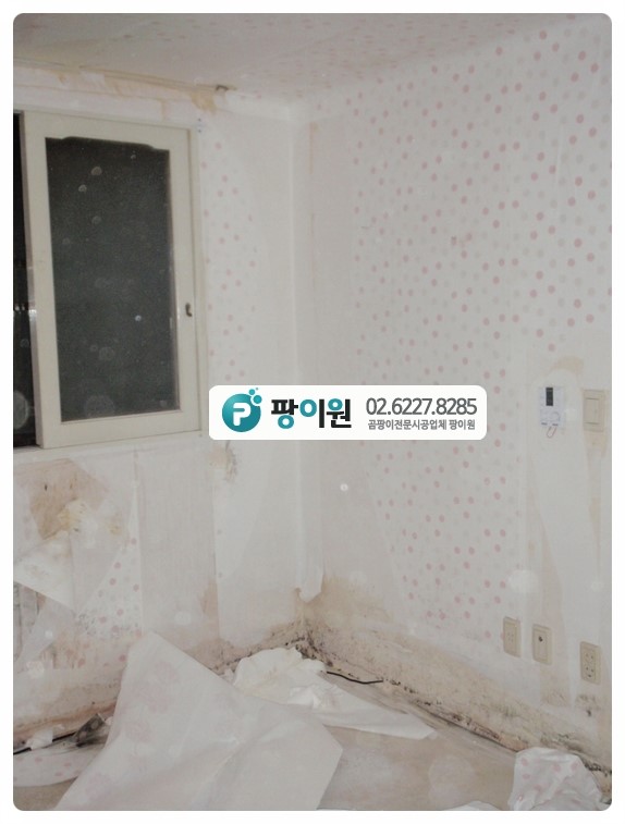  벽지에 곰팡이제거방법은 이렇게~