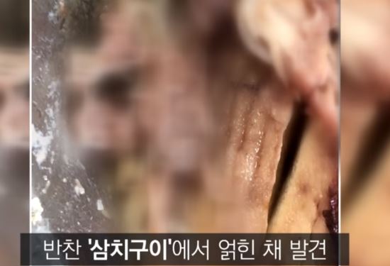  인천 고교 급식서 발견된 고래회충…학생‧학부모 ‘불안’