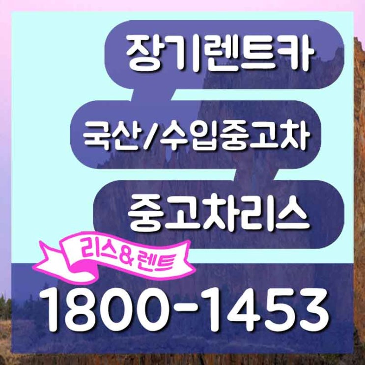  더뉴쏘렌토리스 울릉 영천