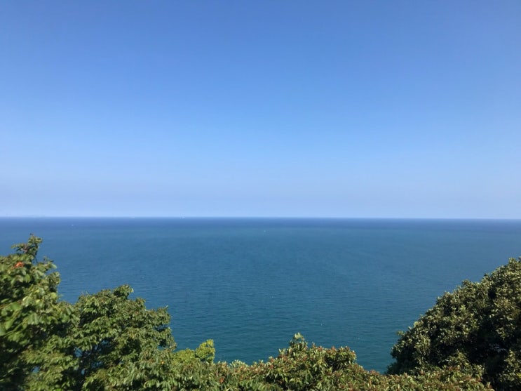  여수여행 반나절투어 -여수 교동시장,꿈뜨락몰,수제버거,여수당, 향일암