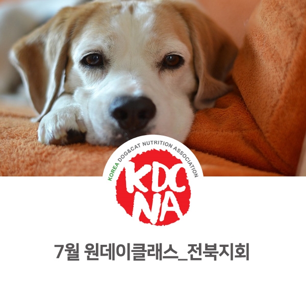  [반려동물 영양 전문 교육] 한국반려동물영양협회 전북지회 강아지팥빙수만들기 원데이클래스 안내_05
