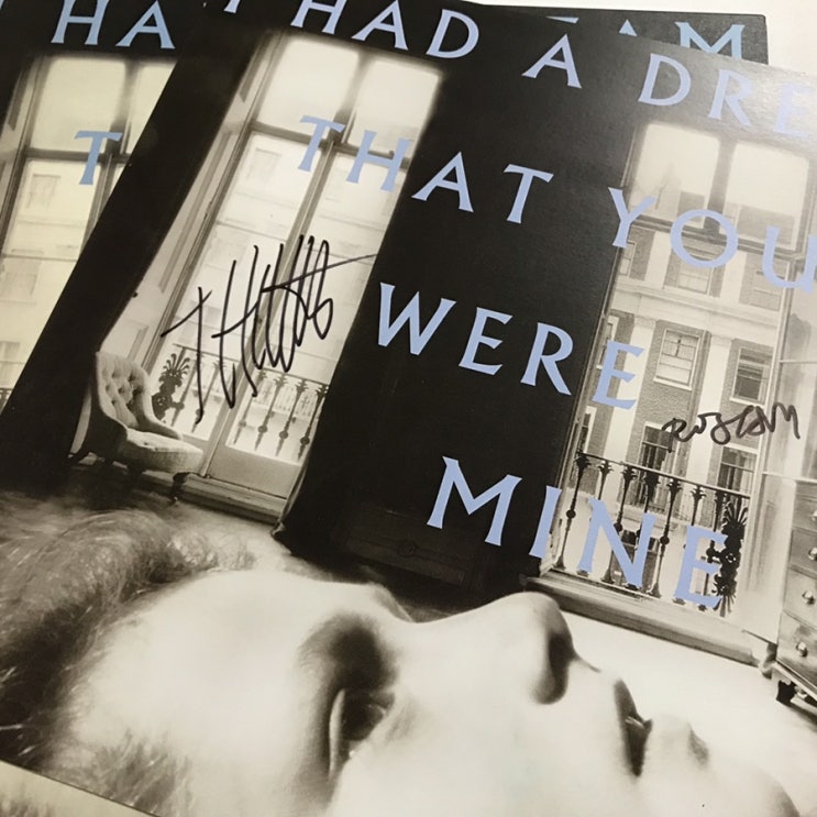 [LP, 엘피] Hamilton Leithauser + Rostam - I Had a Dream that You were Mine (싸인 바이닐)