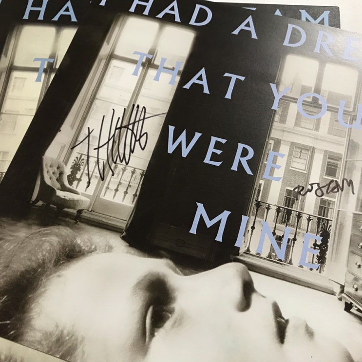  [LP, 엘피] Hamilton Leithauser + Rostam - I Had a Dream that You were Mine (싸인 바이닐)