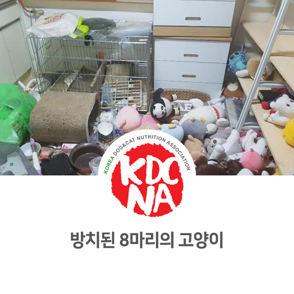  [반려동물 사건 사고] 고양이 방치 범인 애니멀 호딩으로 추정_10