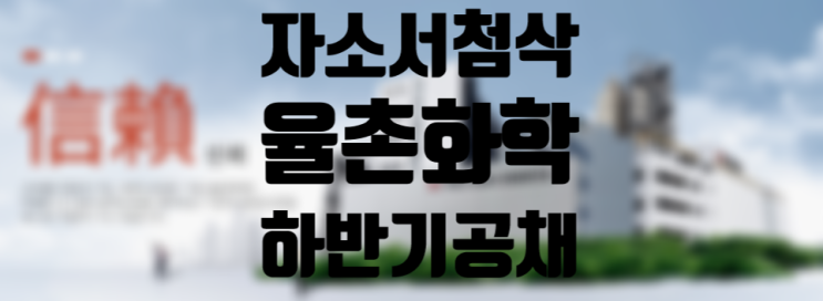  율촌화학 자소서, 그리고 회계 직무를 고민한다면 이대표와 함께