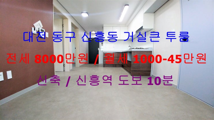 (대전 동구 신흥동) 신흥역 도보 5분거리에 있는 신축 옵션있는 거실큰 투룸입니다 ^^