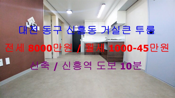  (대전 동구 신흥동) 신흥역 도보 5분거리에 있는 신축 옵션있는 거실큰 투룸입니다 ^^