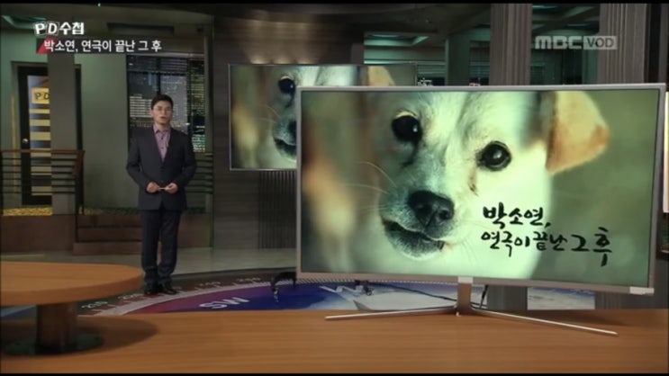  <PD수첩> 1200회 박소연 연극이 끝난 그 후  : 동물구조단체 케어 무분별한 안락사 문제 리뷰